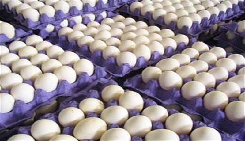 فروش تخم مرغ با نرخ بالای ۴۵۰ تومان غیر منطقی است