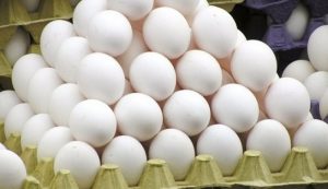 صادرات تخم مرغ متوقف شد/قیمت هر کیلو تخم مرغ ۷ هزار و ۸۰۰ تومان