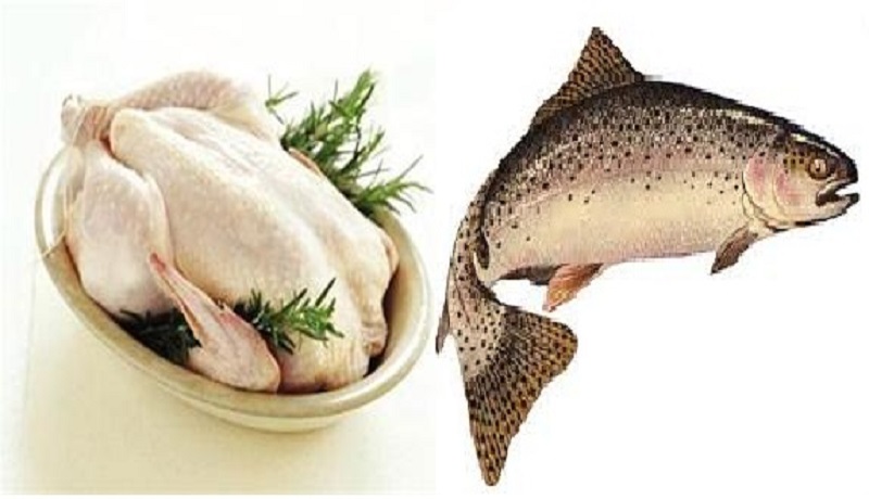 مرغ ارزان شد/قیمت هر کیلو ماهی سالمون نروژ ۱۷۵ هزار تومان