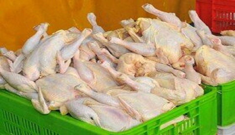 نوسان ۳۰۰ تومانی نرخ مرغ در بازار/ نیازی به واردات مرغ نداریم