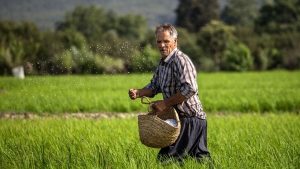 تسهیلات با حداقل سود به کشاورزان و دامداران به زودی پرداخت می‌شود