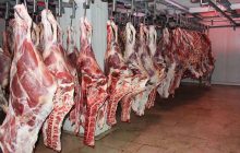 کاهش ۱۵ هزار تومانی قیمت گوشت گوسفندی