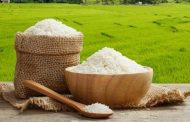 ممنوعیت ثبت سفارش برنج هندی غیرکارشناسی است