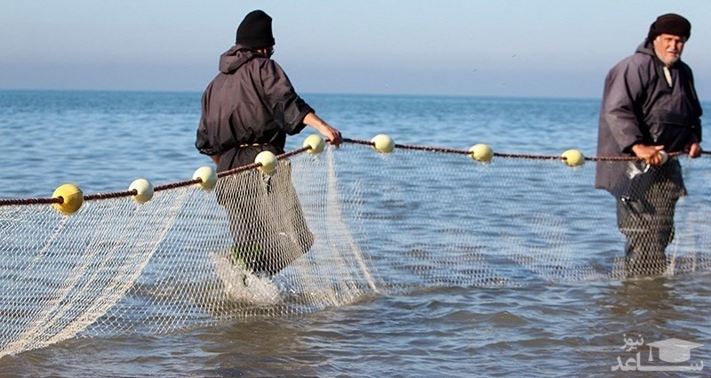 کاهش صید انواع ماهیان استخوانی در سواحل گیلان به ۱۴ درصد رسید