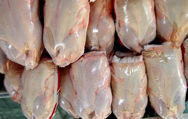 تولید ماهانه ۷۰۰۰ تُن گوشت مرغ در لرستان