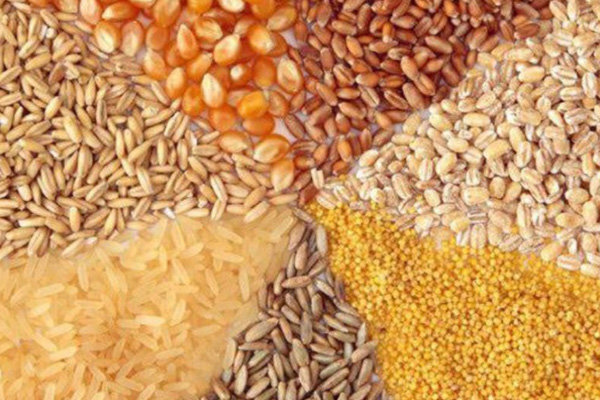 افزایش قیمت خوراک دام در بازارهای جهانی/ 3 عامل افزایش قیمت کالاهای اساسی