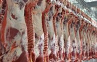 افزایش ۵۲ درصدی عرضه گوشت قرمز در آذرماه در کشتارگاه‌های رسمی