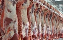 توزیع گوشت قرمز منجمد در بازار با هدف کاهش قیمت
