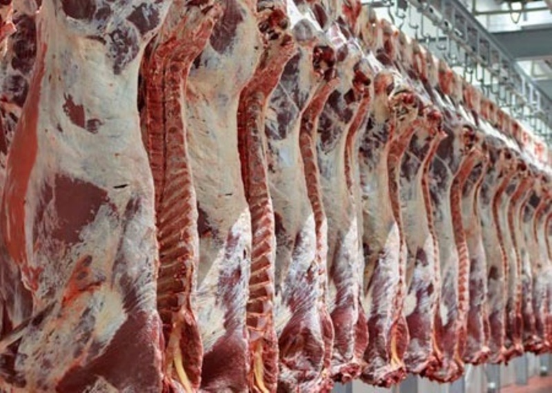 احتمال عرضه گوشت گرم وارداتی از فردا در میادین