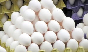 ظرفیت صادرات ۱۵۰ هزار تن تخم مرغ تا پایان سال وجود دارد