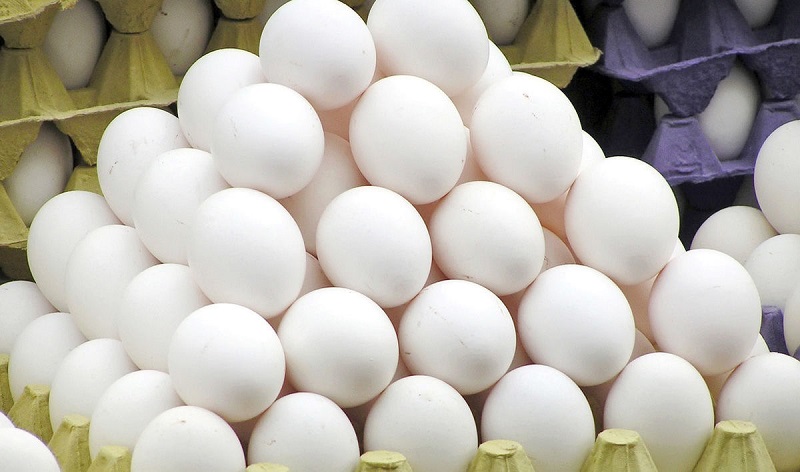 قیمت هر کیلو تخم مرغ درب مرغداری ۲۷ هزار تومان