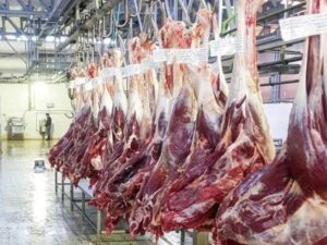پایان صدرنشینی قیمت گوشت قرمز با واردات از ۸ کشور