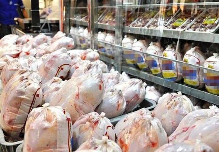 توزیع مرغ منجمد با نرخ مصوب در میادین استان تهران