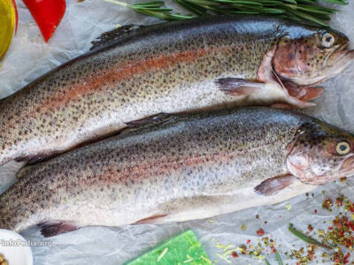 ایران رتبه اول در تولید ماهی قزل‌آلا را دارد