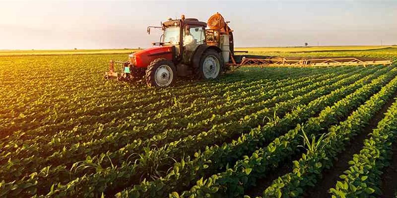 ۷۵ درصد تولید محصولات کشاورزی با تعاونی‌ها است
