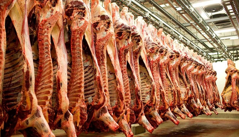 استمرار روند کاهشی قیمت دام زنده در بازار/نرخ هر کیلو لاشه گوسفندی در فروشگاه‌ها به ۷۹ هزار تومان رسید