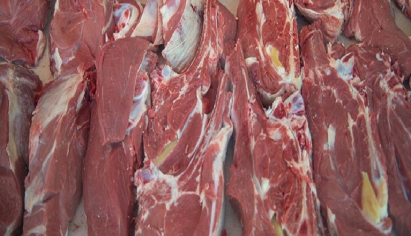 تولید گوشت قرمز افزایش یافت
