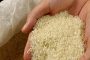 تلاش مجلسی‌ها برای گنجاندن اعتبار افزایش قیمت گندم در بودجه سنواتی ۹۹/ گندمکاران مجبور به استفاده از بذر خود مصرفی شدند