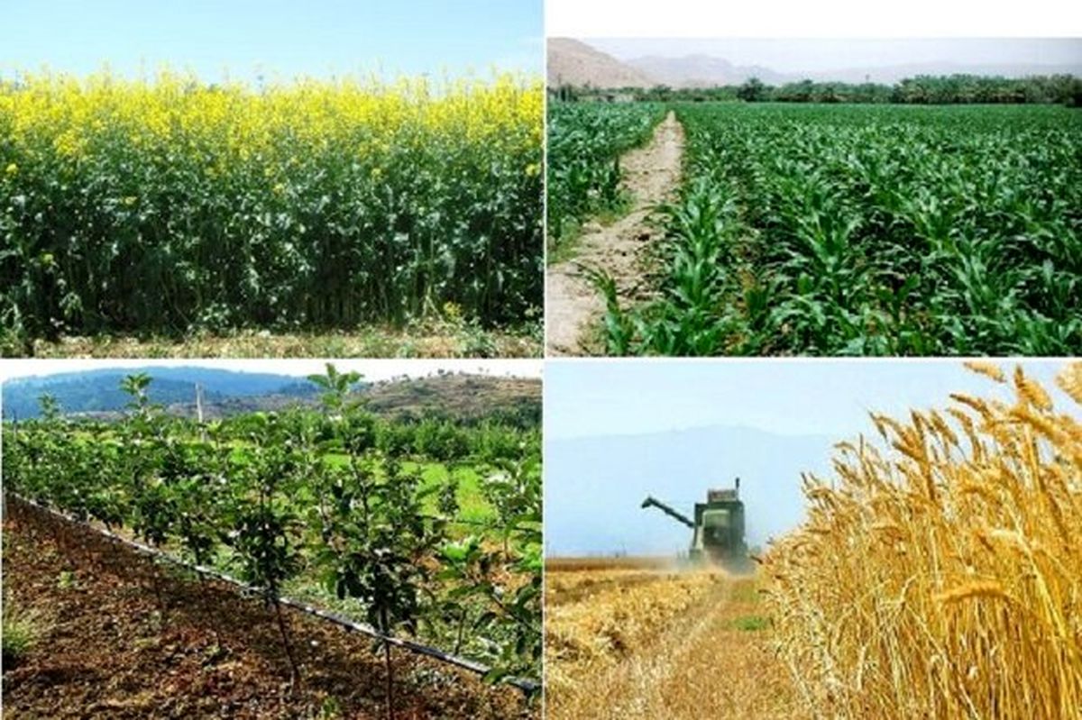 اعتبارات بخش کشاورزی سیستان و بلوچستان بیش‌از ۸۴ درصد رشد داشته است