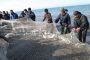 کاهش ۱۰ درصدی صید ماهیان استخوانی در سواحل آستانه اشرفیه