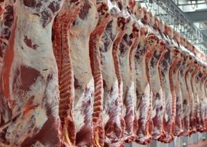 روزانه ۲۵۰ تن گوشت قرمز در بازار توزیع می‌شود