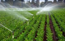 کشاورزان برای استفاده از آبیاری نوین به جهاد کشاورزی مراجعه کنند