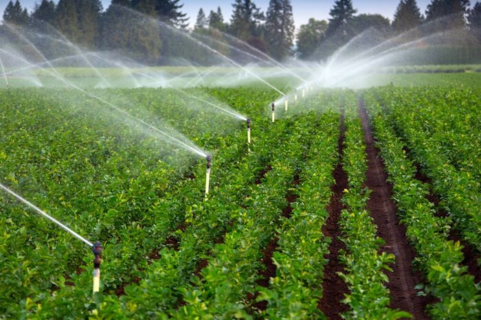 ۶۴ درصد آب در بخش کشاورزی مصرف می شود