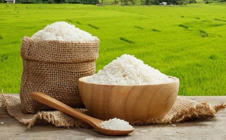 دریافت شناسه کالا برای ثبت سفارش برنج ضروری است