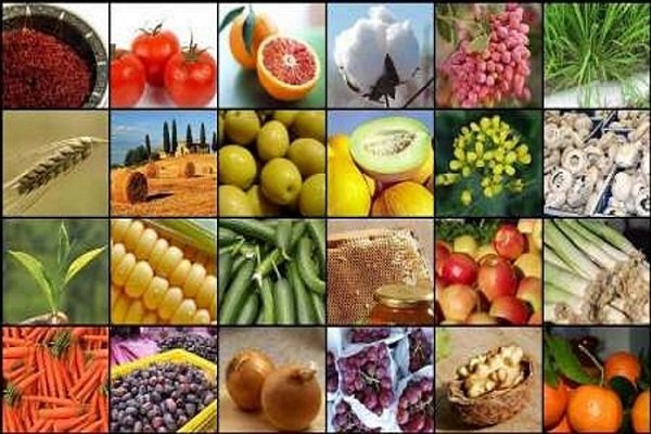 بی‌توجهی به تامین زنجیره غذایی در ایران/ طرح امنیت غذایی ناقص است
