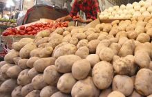 کاهش ۱۵۰۰ تومانی قیمت سیب زمینی در بازار