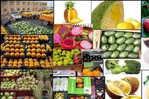 صادرات میوه و صیفی ۵ درصد افزایش می‌یابد