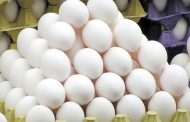 صادرات مرغ و تخم مرغ به عراق ممنوع نشده است