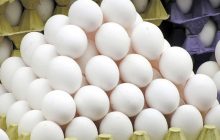 تولید تخم مرغ به یک میلیون و ۲۰۰ هزار تن می رسد
