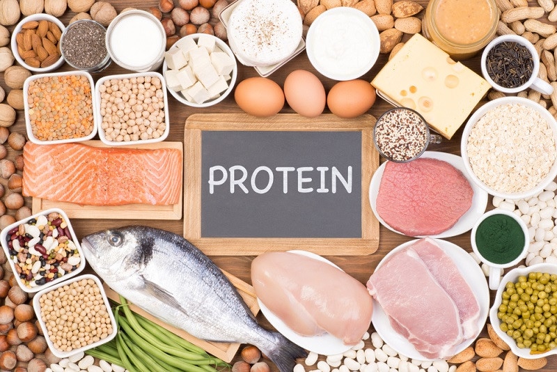 کودک به چه مقدار پروتئین نیاز دارد