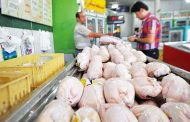 قیمت مرغ تا پایان سال تغییری ندارد