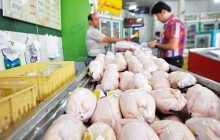احتمال کاهش قیمت مرغ در عمده فروشی ها طی روزهای آتی