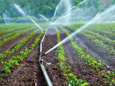 زمین های کشاورزی تشنه/ کشور نیازمند پروژه های آبیاری