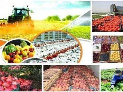 پیشتازی ایران در تولیدات کشاورزی