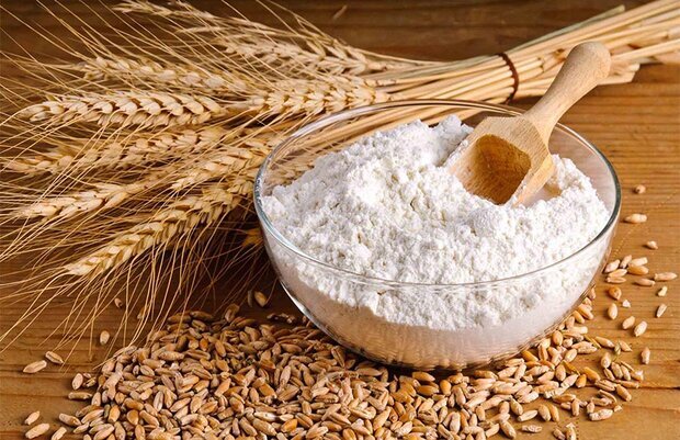 کشور در گندم نان خودکفا شد
