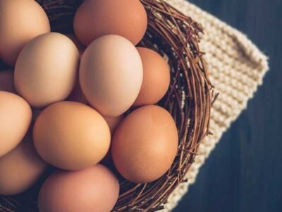 ارزآوری صادرات تخم مرغ به ۱۳۰ میلیون دلار رسید